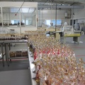 40 Inside the Chocolate Factory